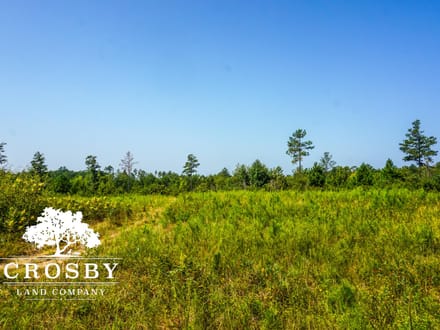 99 Road Tract East
