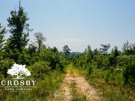 99 Road Tract East
