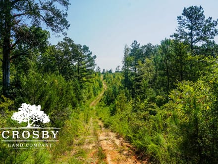 99 Road Tract East