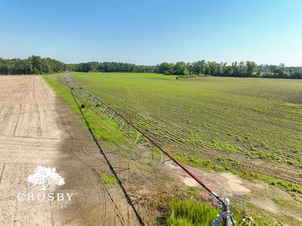 Carver Road Farm