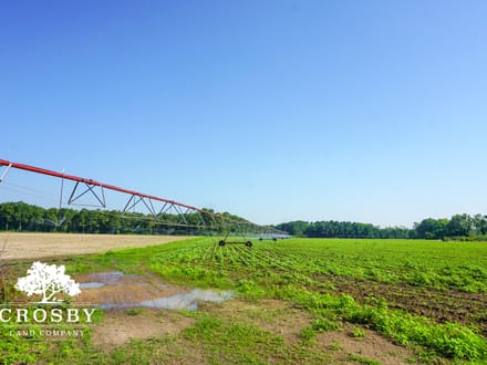 Carver Road Farm