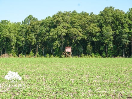 Carver Road Farm