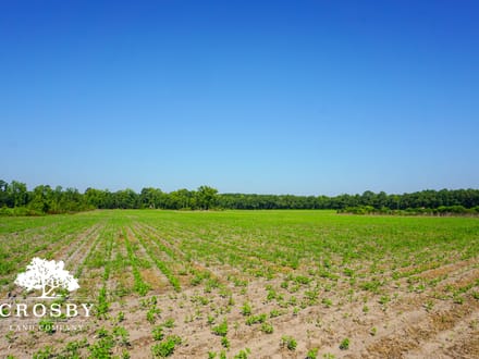 Carver Road Farm