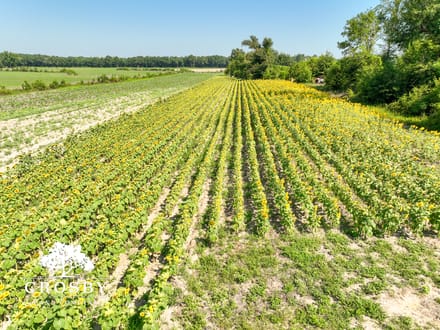 Carver Road Farm