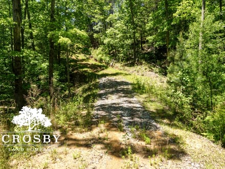 Greg Shoals Road