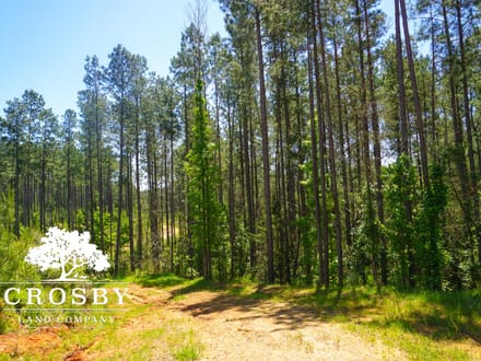 Greg Shoals Road