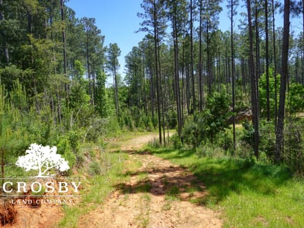 Greg Shoals Road