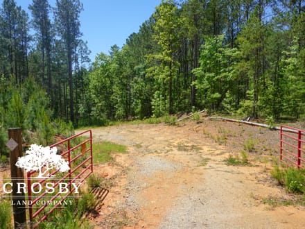 Greg Shoals Road