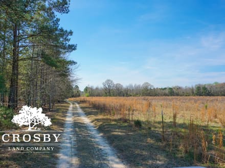 Amerson Farm