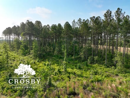 Plavney-Perry Tract