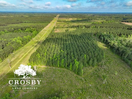 Plavney-Perry Tract