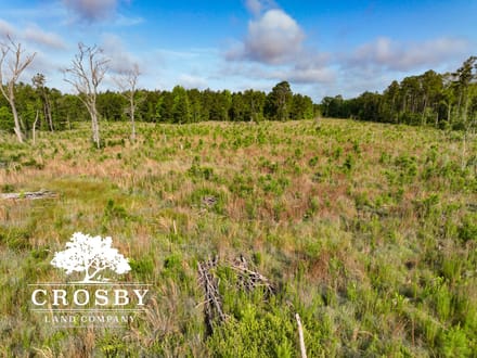 Plavney-Perry Tract