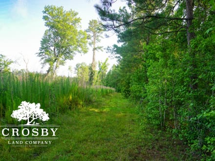 Plavney-Perry Tract