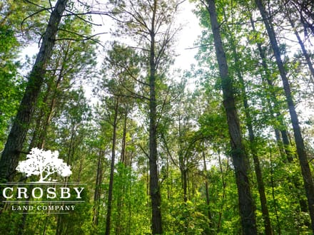 Plavney-Perry Tract