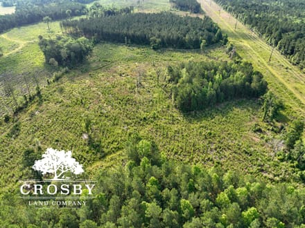 Plavney-Perry Tract