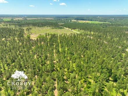 Spread Oak Estates Lot 1