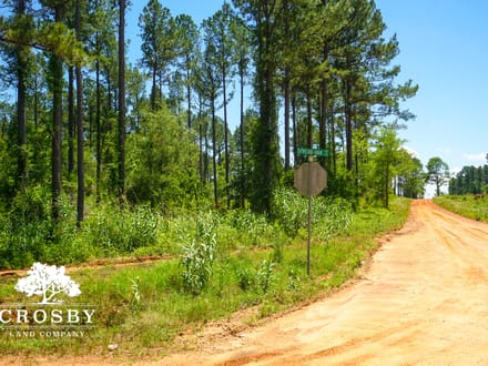 Spread Oak Estates Lot 1