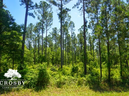 Spread Oak Estates Lot 3