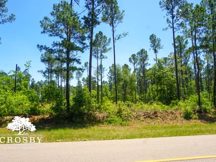 Spread Oak Estates Lot 3