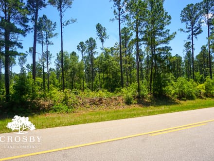 Spread Oak Estates Lot 2