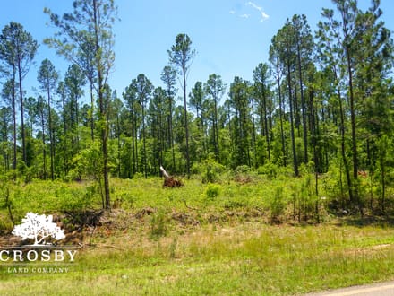 Spread Oak Estates Lot 4