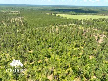 Spread Oak Estates Lot 3