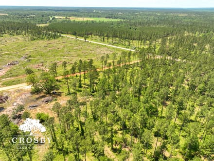 Spread Oak Estates Lot 1