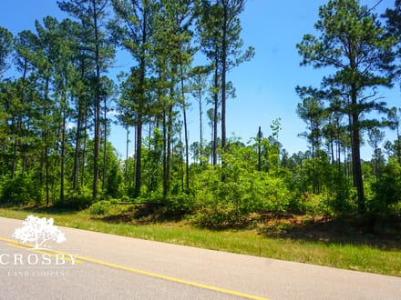 Spread Oak Estates Lot 3