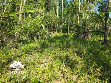 Highway 56 Farm Lot 1