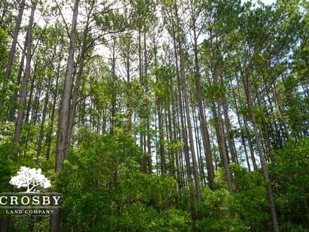 Sneads Ferry Road