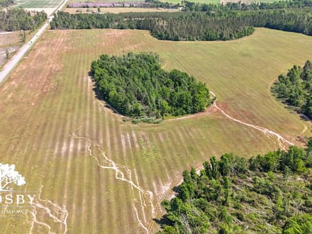 Highway 56 Farm Lot 1