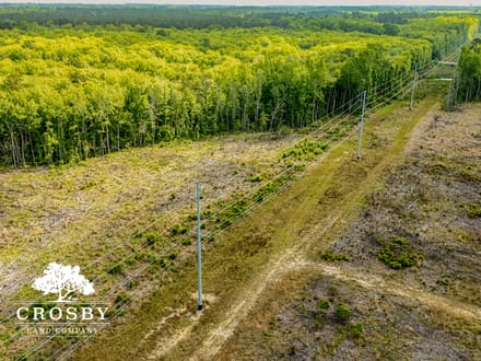 North Edisto River Tract