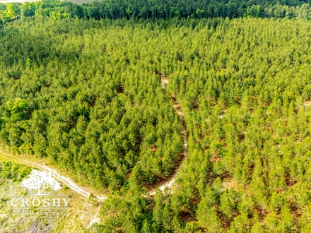 North Edisto River Tract