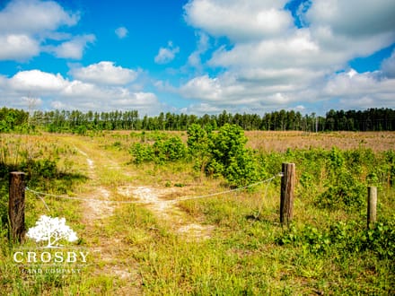 North Edisto River Tract