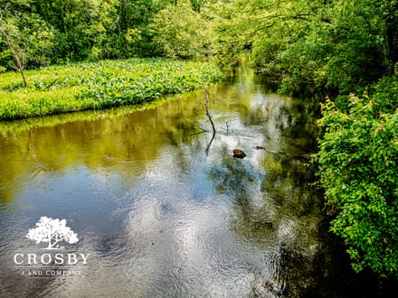 North Edisto River Tract