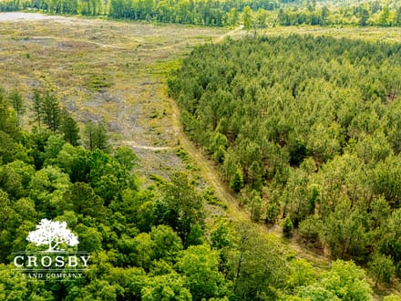 North Edisto River Tract