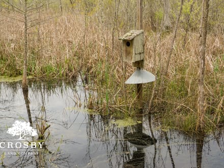 Old Duck Club