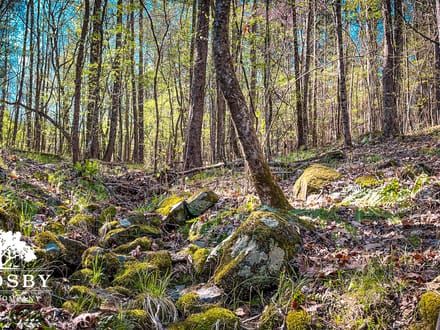 Hughes Mill Creek