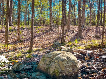 Hughes Mill Creek