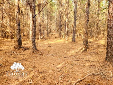 Indian Branch Tract