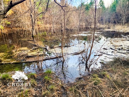 Indian Branch Tract