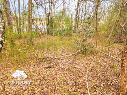 Indian Branch Tract