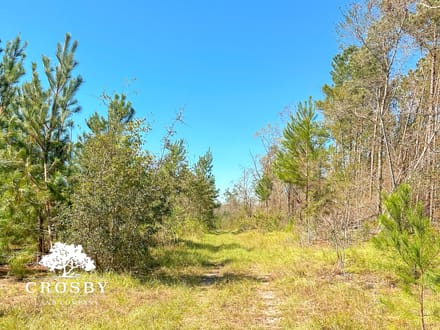 Minnow Road Tract