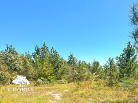 Minnow Road Tract