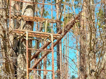 Minnow Road Tract