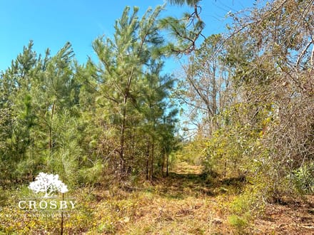 Minnow Road Tract