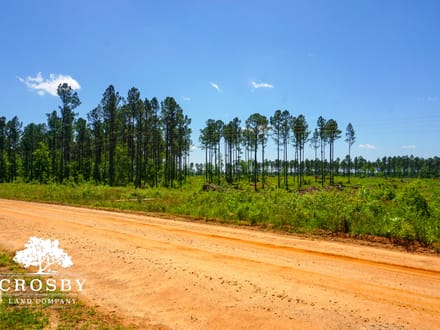 Spread Oak Estates Lot 5