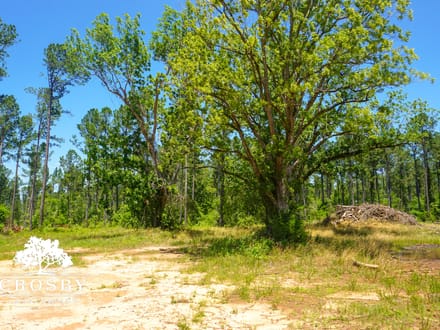 Spread Oak Estates Lot 5