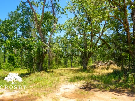 Spread Oak Estates Lot 5
