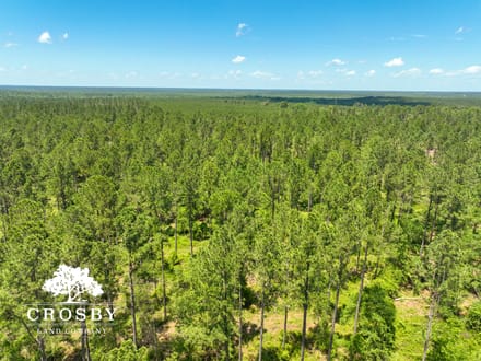 Spread Oak Estates Lot 5